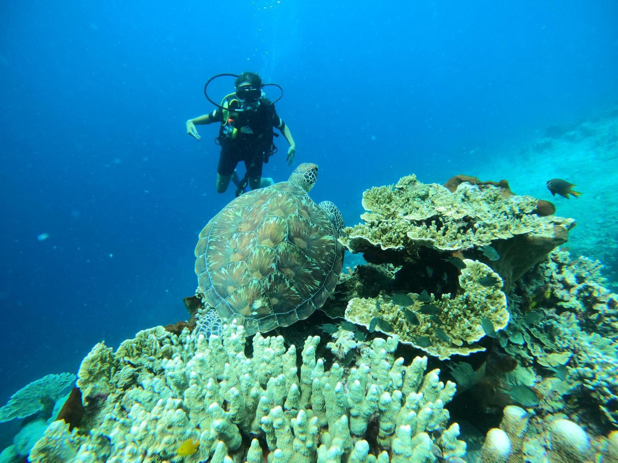 4 Sisters Divers Bunaken Exterior foto