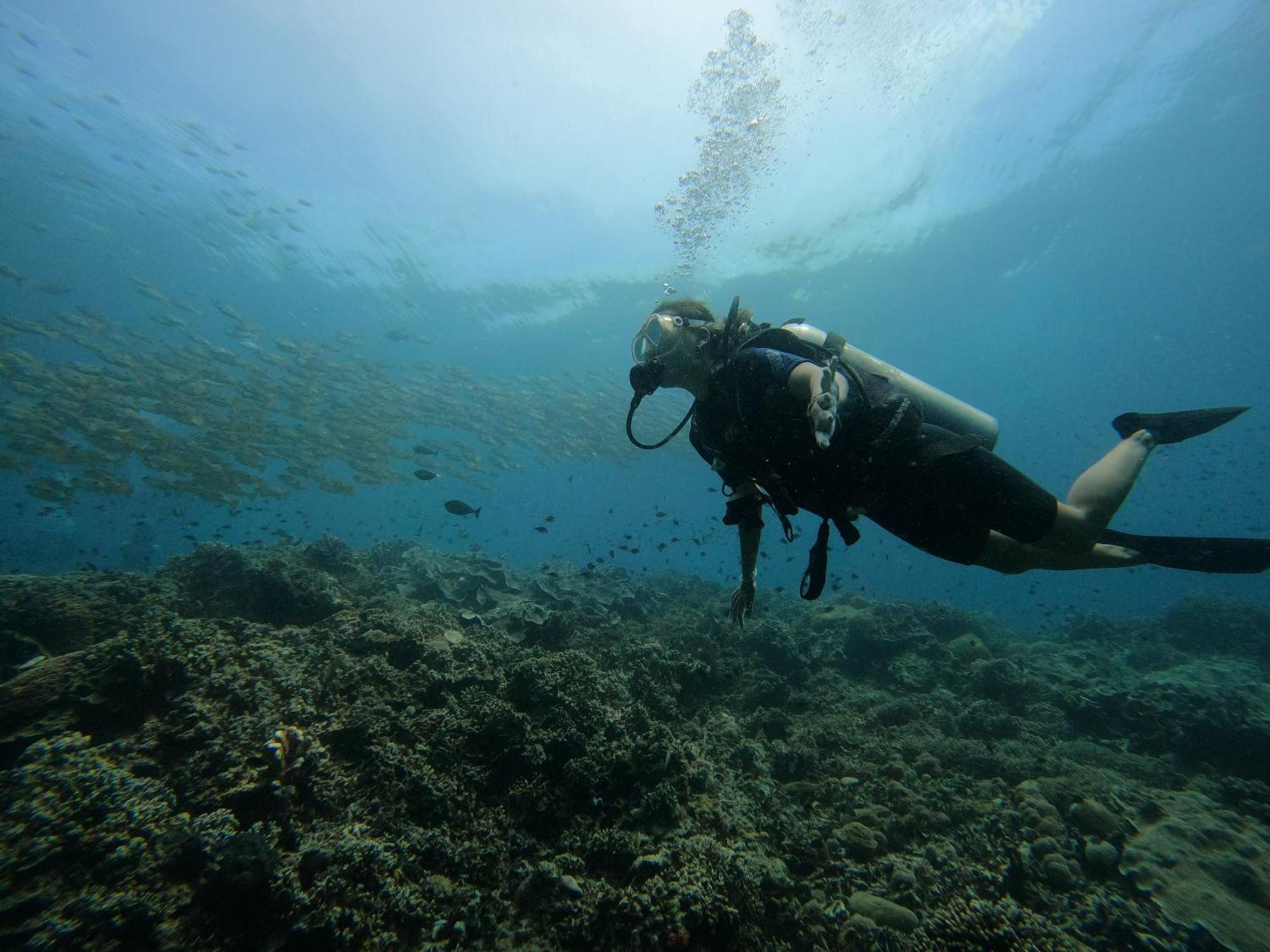 4 Sisters Divers Bunaken Exterior foto